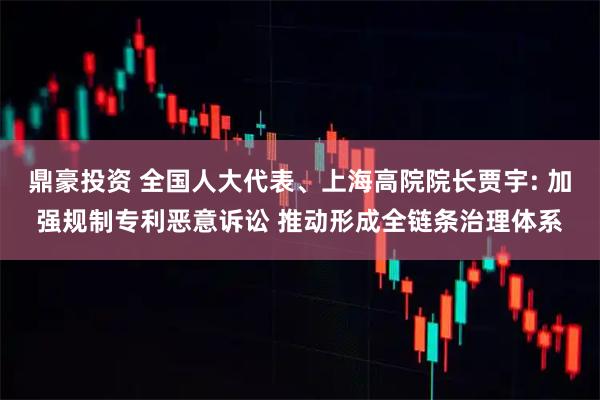 鼎豪投资 全国人大代表、上海高院院长贾宇: 加强规制专利恶意诉讼 推动形成全链条治理体系