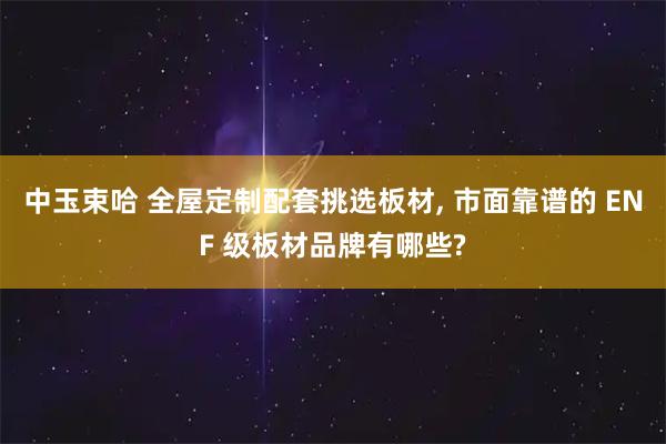 中玉束哈 全屋定制配套挑选板材, 市面靠谱的 ENF 级板材品牌有哪些?
