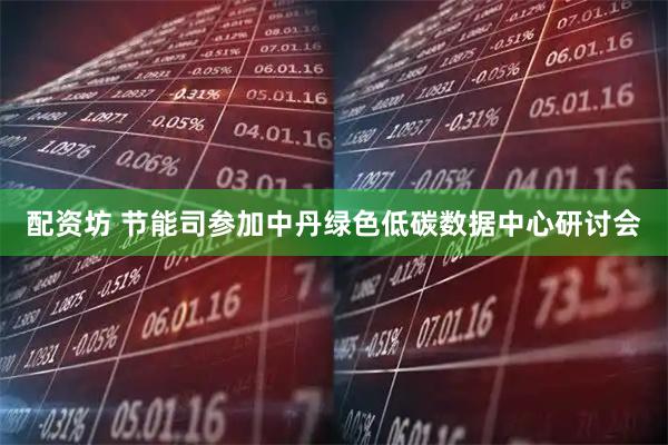 配资坊 节能司参加中丹绿色低碳数据中心研讨会